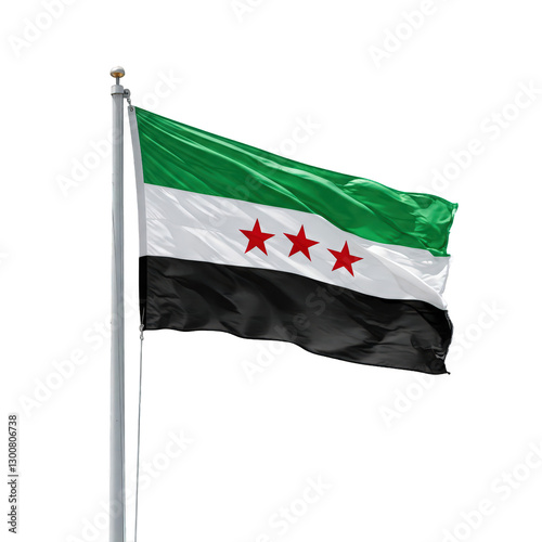 New flag of Syria on transparent background