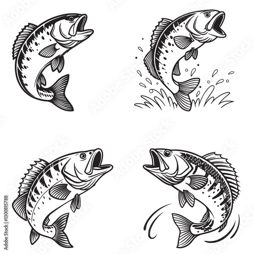 Set of bass fish vector illustrations
