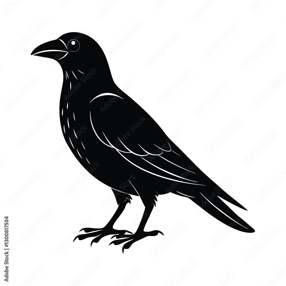 Obraz premium crow on white background