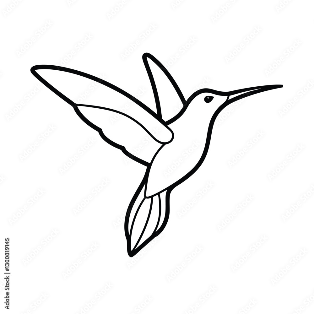 Obraz premium hummingbird vector illustration