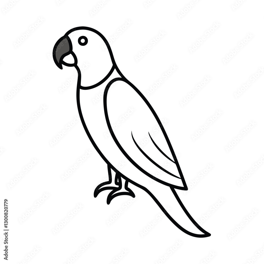 parrot on white background