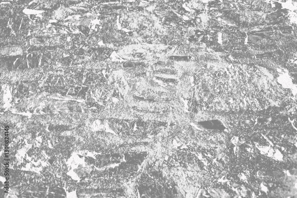 black and white background. macro view of the marble texture. Elegant light gray background with circle silver pattern. Cool bright futuristic modern art . Abstract metallic chrome web backdrop. black and white background. macro view of the marble texture. Elegant light gray background with circle silver pattern. Cool bright futuristic modern art . Abstract metallic chrome web backdrop.