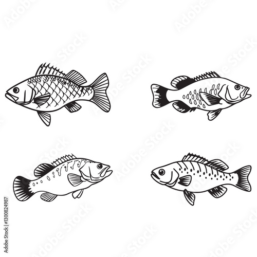 Set of bass fish vector illustrations