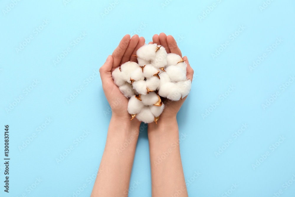 Female hands with cotton flowers on color background, closeup Female hands with cotton flowers on color background, closeup
