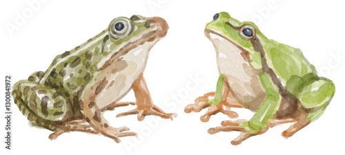 Watercolor set of frog for logo, invitations and more