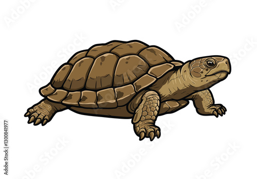 Realistic turtle clipart. This image shows a detailed and realistic illustration of a turtle with a textured shell and scales. Vector illustration design.