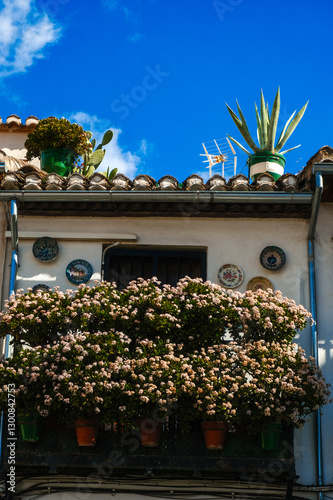 City architecture details. An old city surrounded by nature. Historic Spanish town
