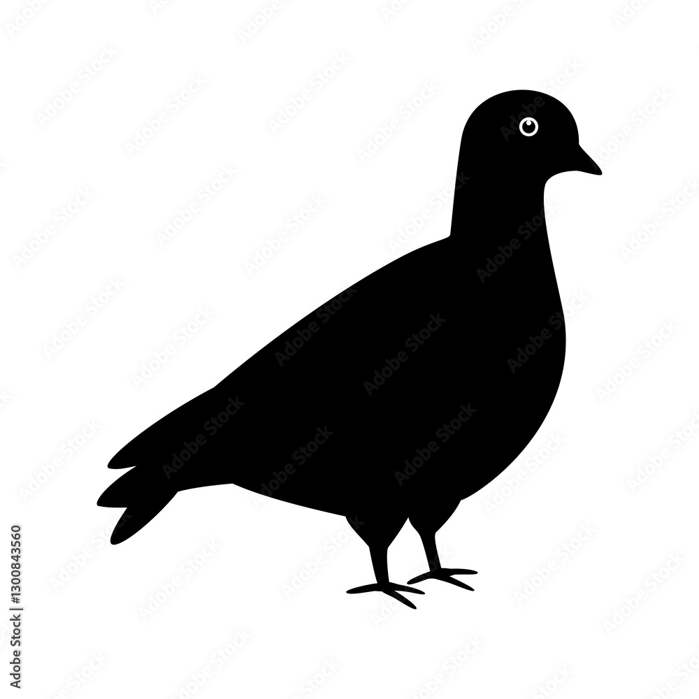 Obraz premium Pigeon vector Flat vector illustration simple design.
