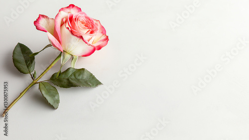 single pink and white rose with green leaves, elegantly placed on light background, symbolizes beauty and love. Its delicate petals and vibrant colors evoke sense of tranquility and grace