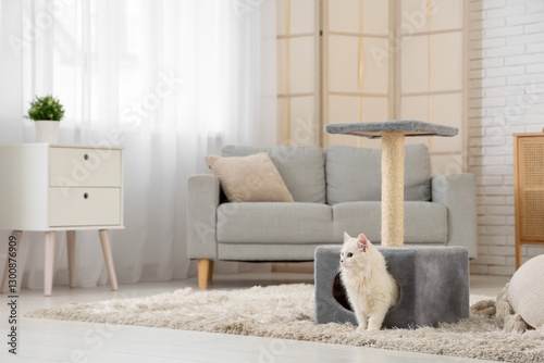 Cute white cat in its house...