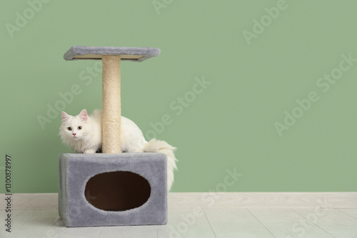 Fluffy white cat resting on...