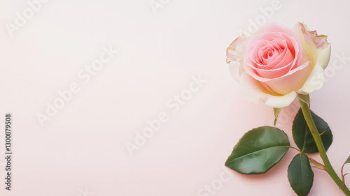 beautiful pink and white rose with green leaves on soft pastel background, symbolizing love and elegance. This delicate flower captures serene and romantic essence