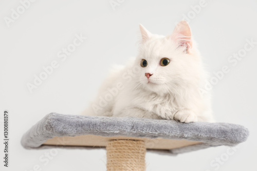 Fluffy white cat with green...