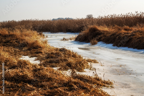 Przedwiośnie w Dolinie Górnej Narwi, Podlasie, Polska