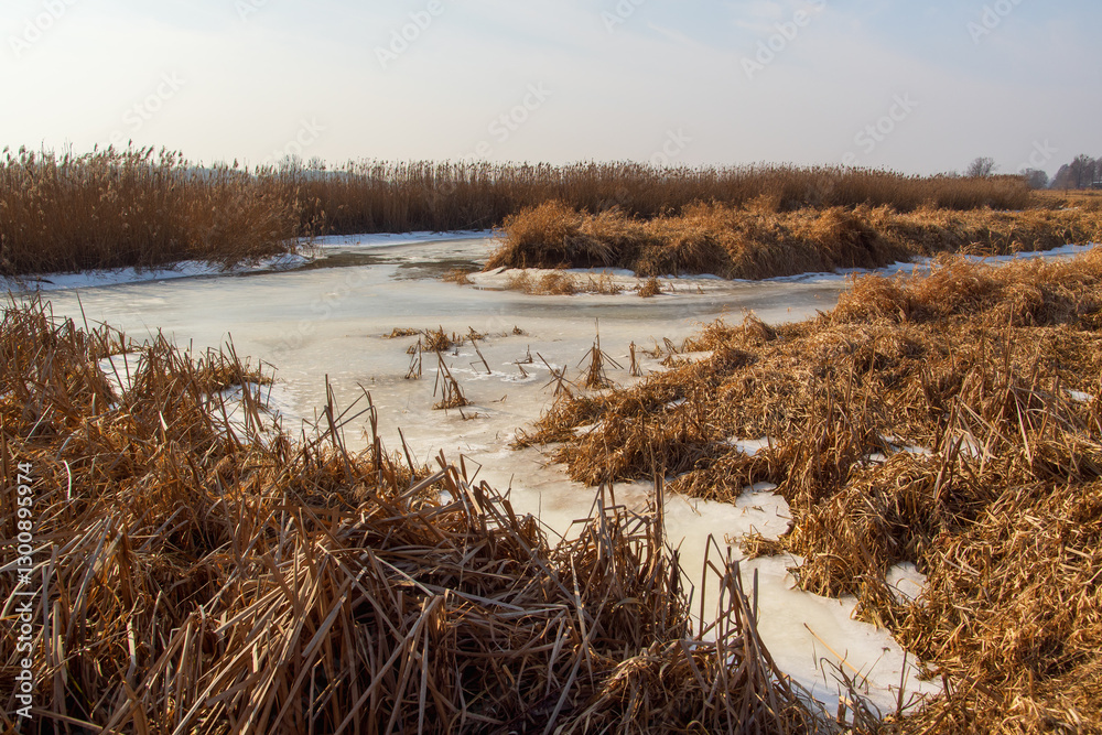 Przedwiośnie w Dolinie Górnej Narwi, Podlasie, Polska
