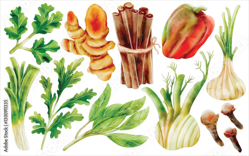 Watercolor Herbs and Spices Illustration Set - Hand-Painted, Realistic, Botanical - Parsley, Basil, Ginger, Cinnamon, Clove, Fennel, Bell Pepper, Vector Illustration