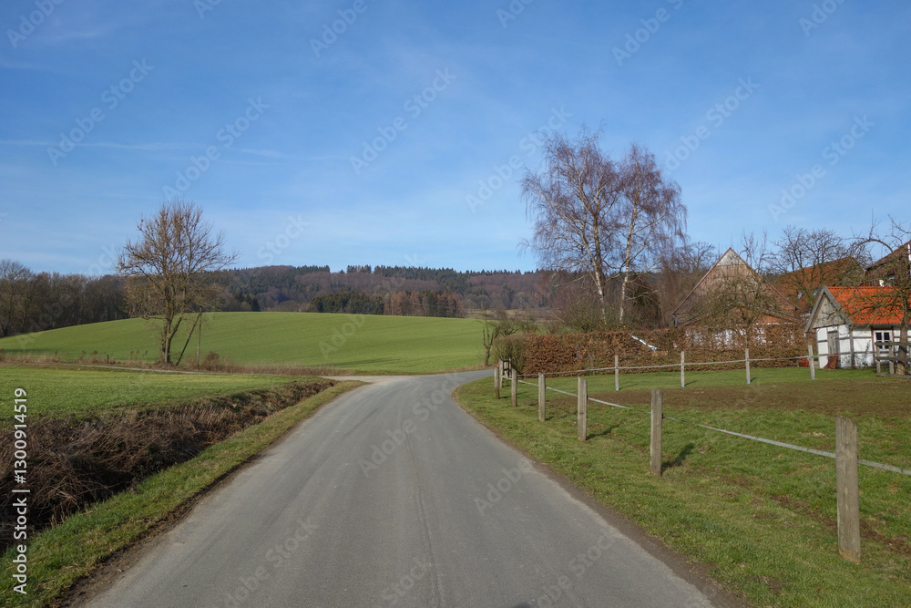 Fototapeta premium Road through rural area