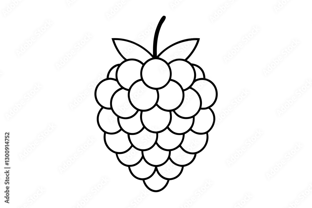 Blackberry Fruit Line Vector Art. Detailed Illustration for Design Projects Blackberry Fruit Line Vector Art. Detailed Illustration for Design Projects