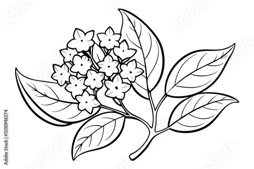 Stunning Mountain Laurel Vector Art. A Beautiful Floral Design