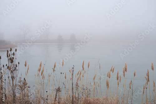 Foggy frozen pond edge in winter scene