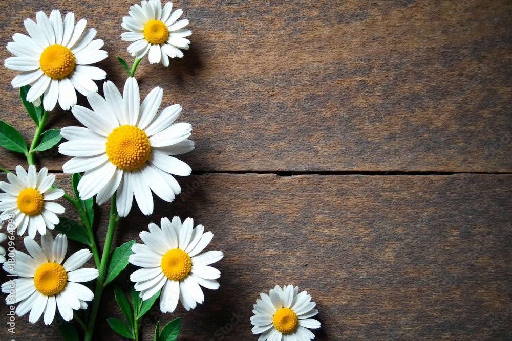 Fototapeta premium White paper cut daisies scattered on rustic wooden surface, whimsical, close-up