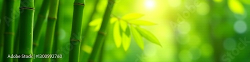 Close-up of green bamboo branches in sunlight, environment, texture