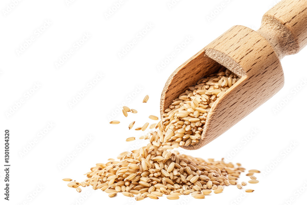 on transparent background on transparent background