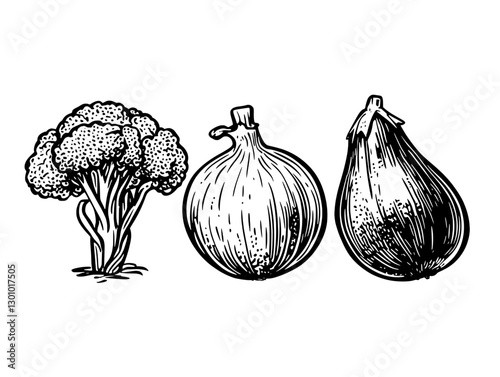 Vector engraved illustration of fresh vegetables for product design including broccoli, onion, and eggplant