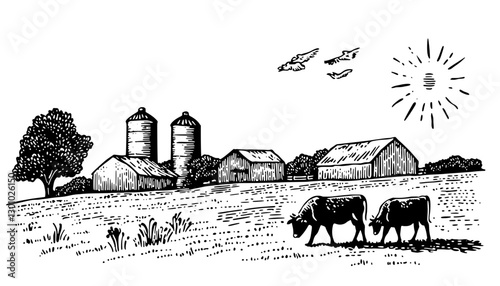 Engraved illustration of a serene farm landscape featuring cows grazing under a bright sun