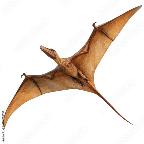 pterodactyl soaring through sky with wings spread wide, showcasing its impressive wingspan and detailed features. This majestic creature embodies spirit of prehistoric flight