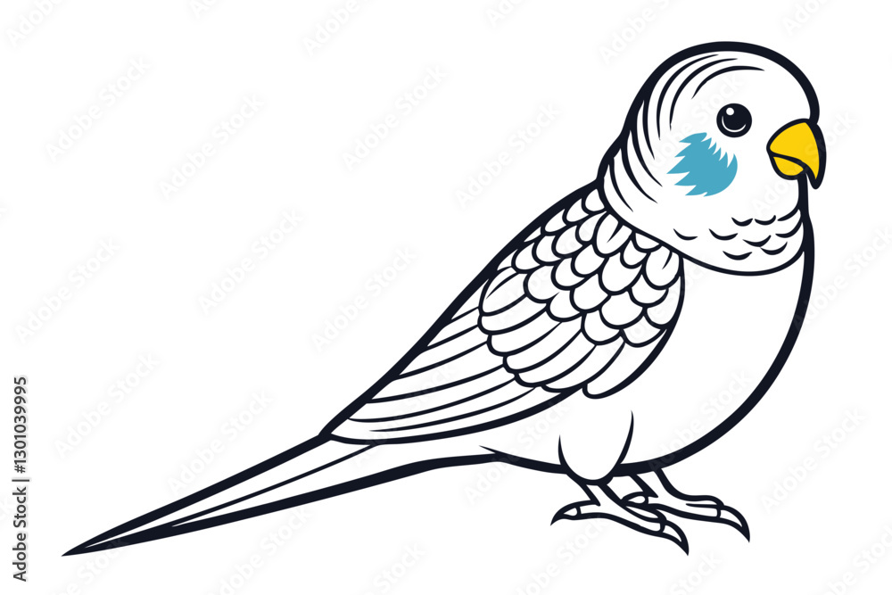 Fototapeta premium Beautiful Budgerigar Vector Art. Detailed Bird Illustration