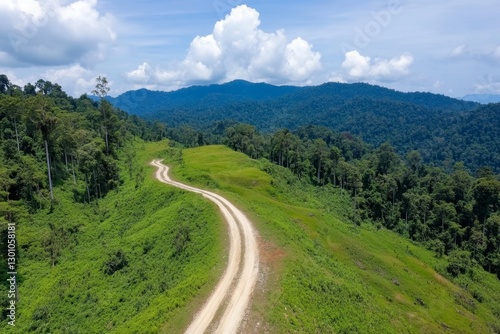 A lush green forest being cleared for industrial purposes, showing deforestation in progress