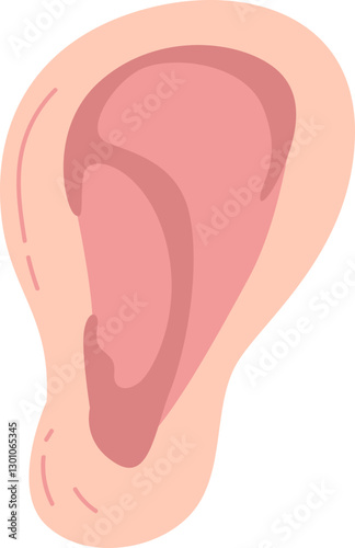 A close up of a human ear