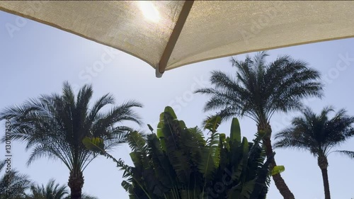 A view looking up at palm trees and beach umbrellas against a clear blue sky on a sunny day. Ideal for themes related to summer, vacations, tropical destinations, relaxation, and outdoor leisure