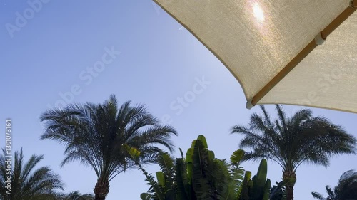 A view looking up at palm trees and beach umbrellas against a clear blue sky on a sunny day. Ideal for themes related to summer, vacations, tropical destinations, relaxation, and outdoor leisure