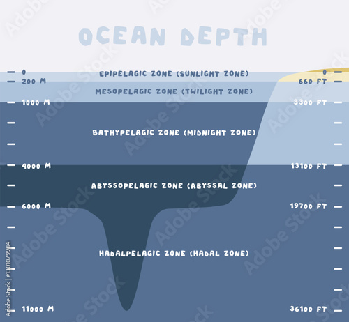 Graphic shows the 5 zones according to the depth of the ocean, with scale in meters and feet. Vector image