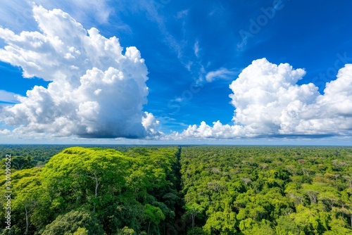 A time-lapse image comparing a rainforest before and after deforestation, highlighting climate impact