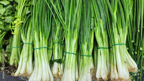 top view green onion on the market stall