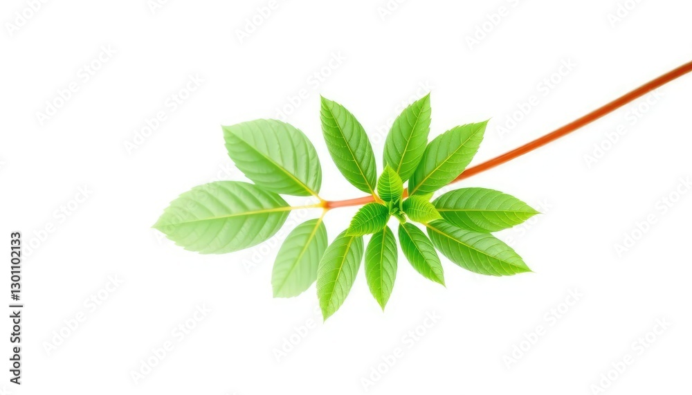 Single vibrant green plant, isolated on pure white backdrop, plant, eco Single vibrant green plant, isolated on pure white backdrop, plant, eco