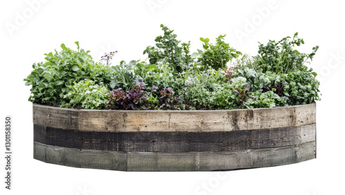 Fresh herbs and greens thriving in a rustic wooden planter filled with various leafy plants ideal for urban gardening, cut out
