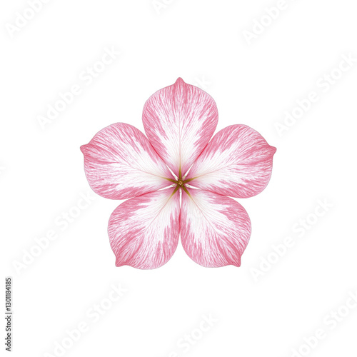 Soft pastel pink Sakura cherry blossom leaf isolated on white showcasing delicate veins and edges   a symbol of springtime elegance