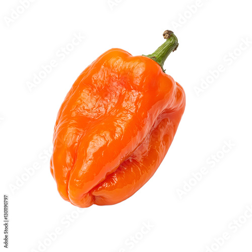 Vibrant habanero pepper with glossy sheen deep orange hue and twisted form standing out against a white backdrop