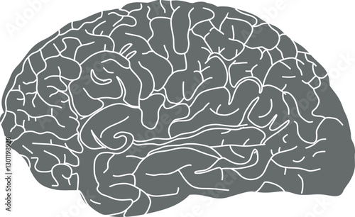 The image depicts a stylized, monochrome brain illustration in gray with white contour lines outlining its structure.