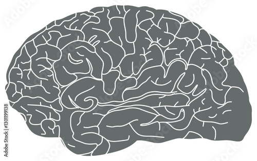 The image depicts a stylized, monochrome brain illustration in gray with white contour lines outlining its structure.