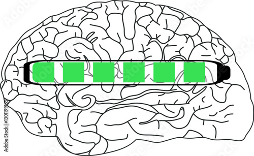 The image shows a black and white illustration of the brain with a horizontal progress bar filled in green.