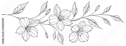 Wallpaper Mural Line art floral botanical on transparent background vector. floral, flowers, leaves, foliage, branches in hand drawn. Floral element design Torontodigital.ca