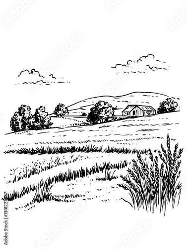 Vector engraved illustration of a serene countryside landscape with hills and farm