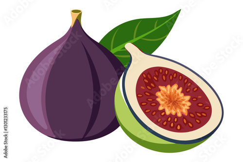 Fresh Fig Fruit Vector Illustration with a Slice