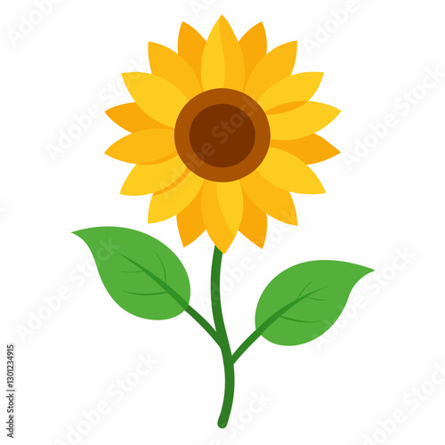 Sunflower isolated on a white background