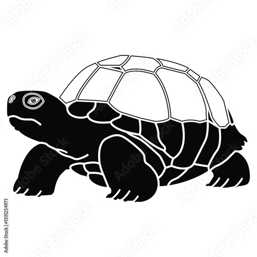  Tortoise outline vector illustration art book animal